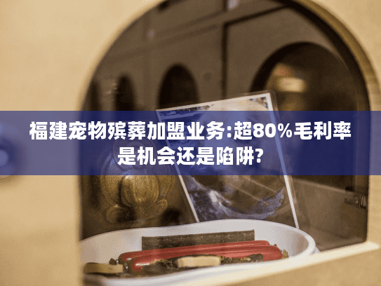 福建宠物殡葬加盟业务:超80%毛利率是机会还是陷阱?