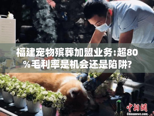 福建宠物殡葬加盟业务:超80%毛利率是机会还是陷阱?