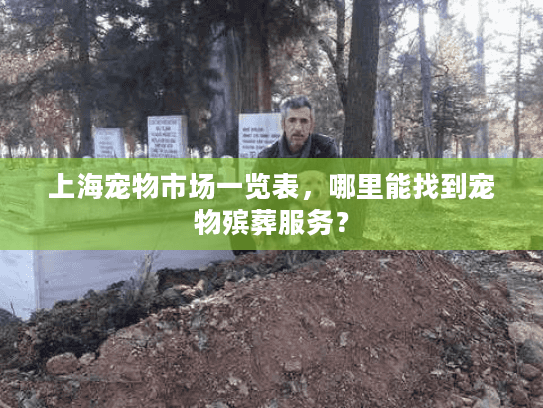 上海宠物市场一览表，哪里能找到宠物殡葬服务？