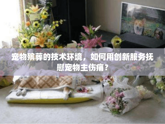 宠物殡葬的技术环境，如何用创新服务抚慰宠物主伤痛？