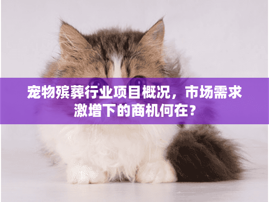 宠物殡葬行业项目概况，市场需求激增下的商机何在？