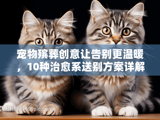 宠物殡葬创意让告别更温暖，10种治愈系送别方案详解