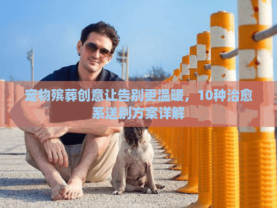 宠物殡葬创意让告别更温暖，10种治愈系送别方案详解
