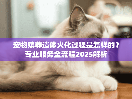宠物殡葬遗体火化过程是怎样的？专业服务全流程2025解析