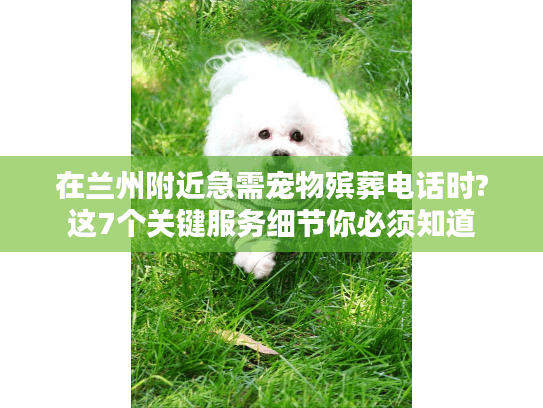 在兰州附近急需宠物殡葬电话时?这7个关键服务细节你必须知道