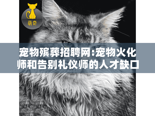 宠物殡葬招聘网:宠物火化师和告别礼仪师的人才缺口如何解决?
