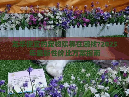 龙华便宜的宠物殡葬在哪找?2025年最新性价比方案指南