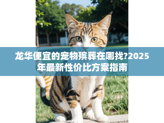龙华便宜的宠物殡葬在哪找?2025年最新性价比方案指南