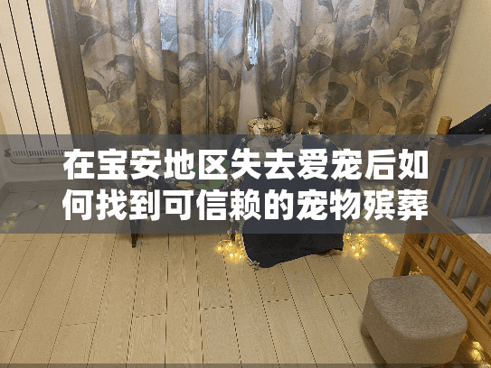在宝安地区失去爱宠后如何找到可信赖的宠物殡葬品牌公司？