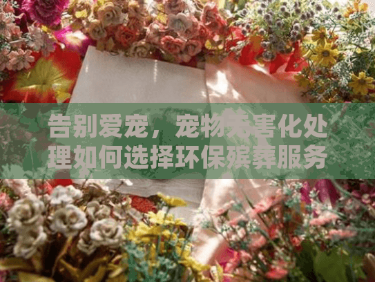 告别爱宠，宠物无害化处理如何选择环保殡葬服务？