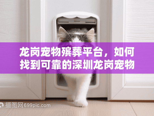 龙岗宠物殡葬平台，如何找到可靠的深圳龙岗宠物殡葬服务？