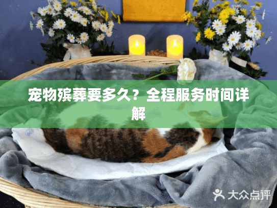 宠物殡葬要多久？全程服务时间详解