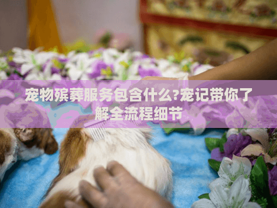 宠物殡葬服务包含什么?宠记带你了解全流程细节