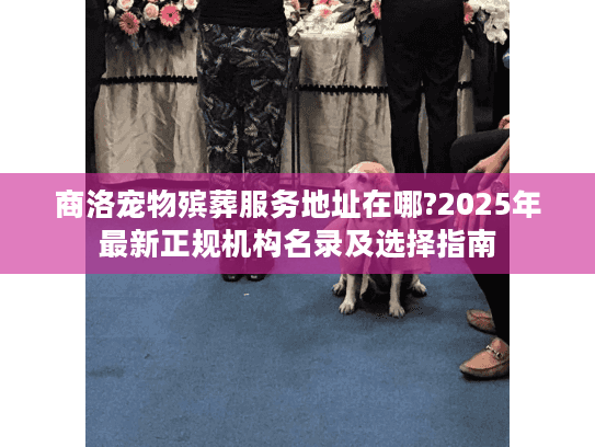 商洛宠物殡葬服务地址在哪?2025年最新正规机构名录及选择指南