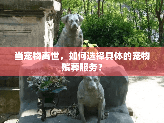 当宠物离世，如何选择具体的宠物殡葬服务？