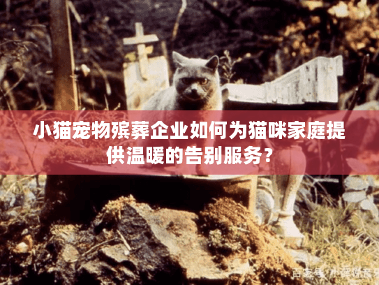 小猫宠物殡葬企业如何为猫咪家庭提供温暖的告别服务？