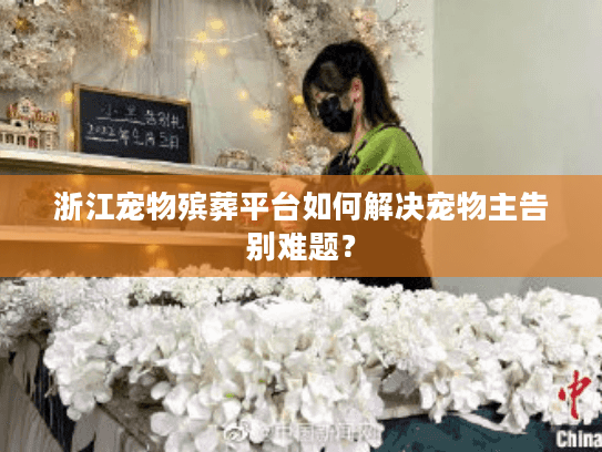 浙江宠物殡葬平台如何解决宠物主告别难题？
