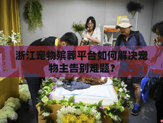 浙江宠物殡葬平台如何解决宠物主告别难题？
