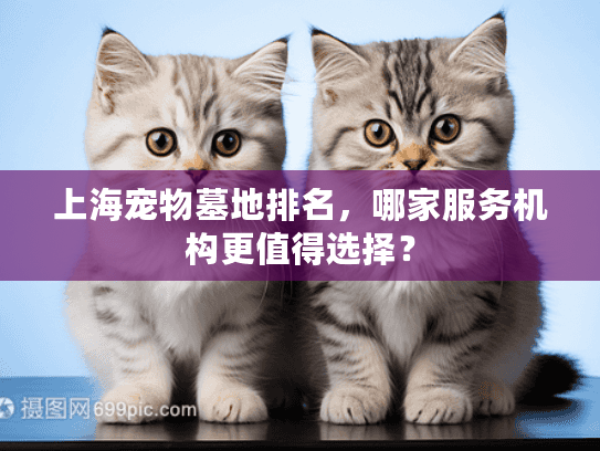 上海宠物墓地排名，哪家服务机构更值得选择？