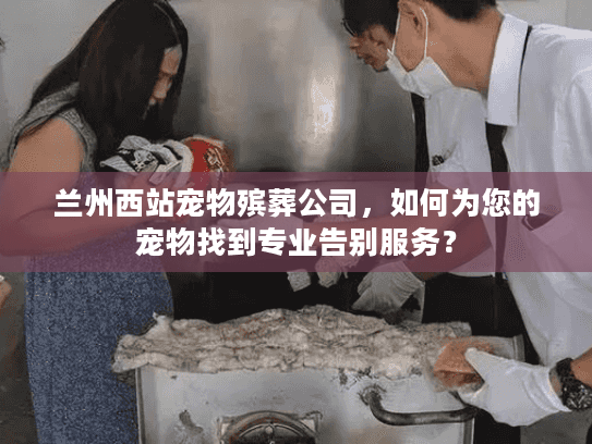 兰州西站宠物殡葬公司，如何为您的宠物找到专业告别服务？