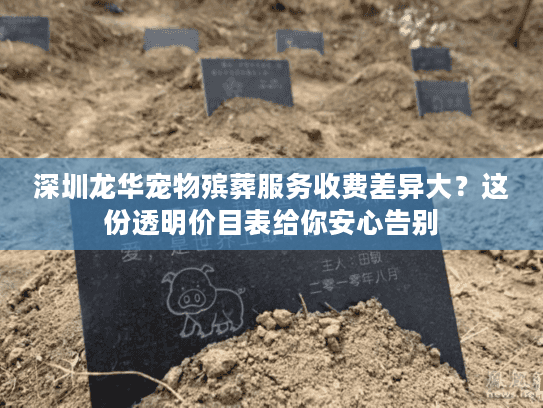 深圳龙华宠物殡葬服务收费差异大？这份透明价目表给你安心告别
