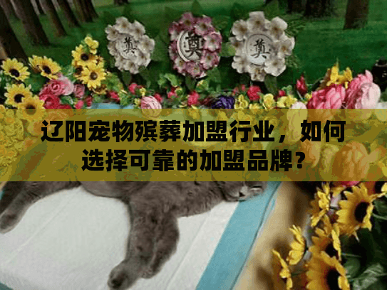 辽阳宠物殡葬加盟行业，如何选择可靠的加盟品牌？