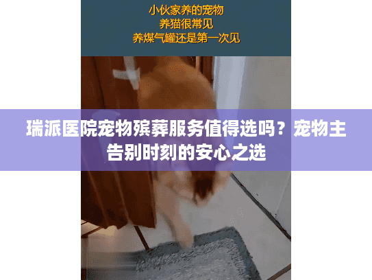 瑞派医院宠物殡葬服务值得选吗？宠物主告别时刻的安心之选
