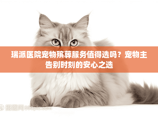 瑞派医院宠物殡葬服务值得选吗？宠物主告别时刻的安心之选