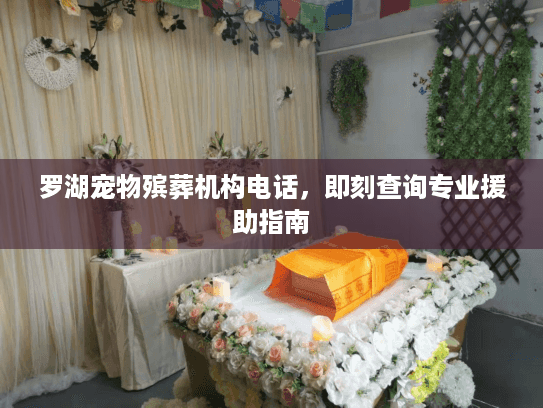 罗湖宠物殡葬机构电话，即刻查询专业援助指南