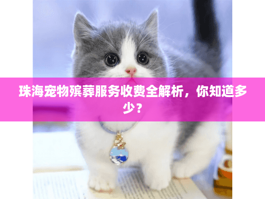 珠海宠物殡葬服务收费全解析，你知道多少？