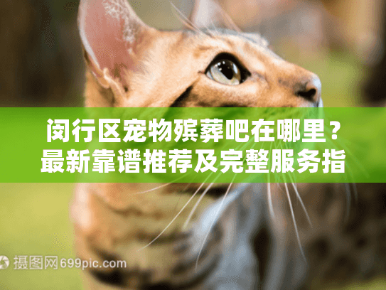 闵行区宠物殡葬吧在哪里？最新靠谱推荐及完整服务指南