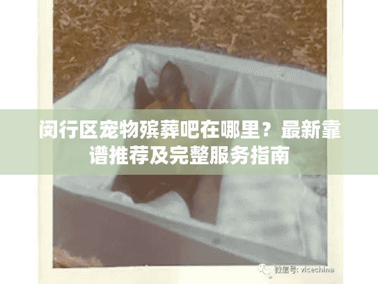 闵行区宠物殡葬吧在哪里？最新靠谱推荐及完整服务指南