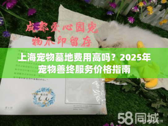 上海宠物墓地费用高吗？2025年宠物善终服务价格指南