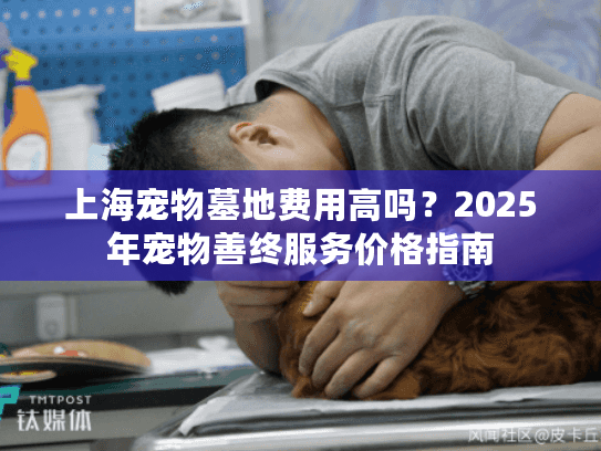 上海宠物墓地费用高吗？2025年宠物善终服务价格指南