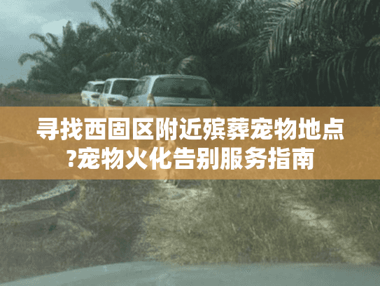 寻找西固区附近殡葬宠物地点?宠物火化告别服务指南