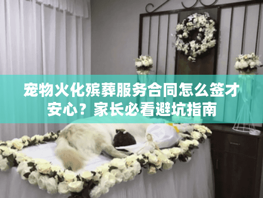 宠物火化殡葬服务合同怎么签才安心？家长必看避坑指南