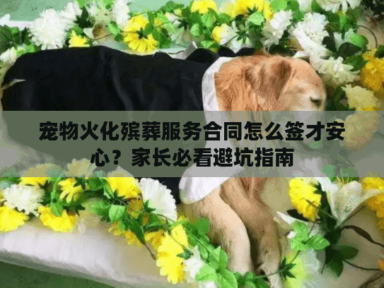 宠物火化殡葬服务合同怎么签才安心？家长必看避坑指南