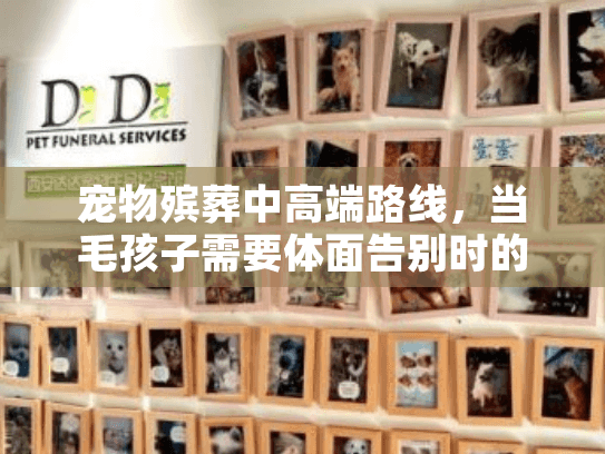 宠物殡葬中高端路线，当毛孩子需要体面告别时的专业选择