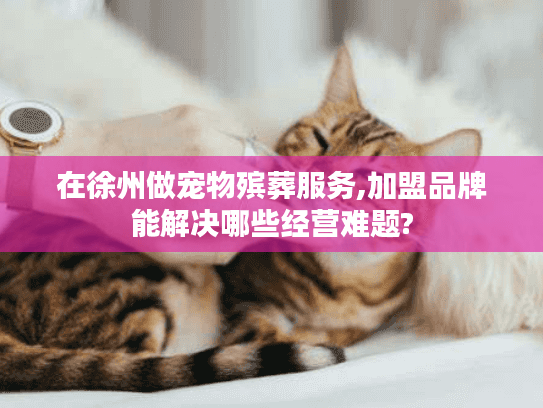 在徐州做宠物殡葬服务,加盟品牌能解决哪些经营难题?