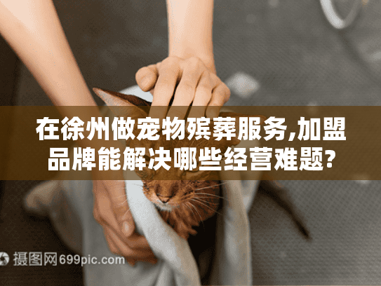 在徐州做宠物殡葬服务,加盟品牌能解决哪些经营难题?