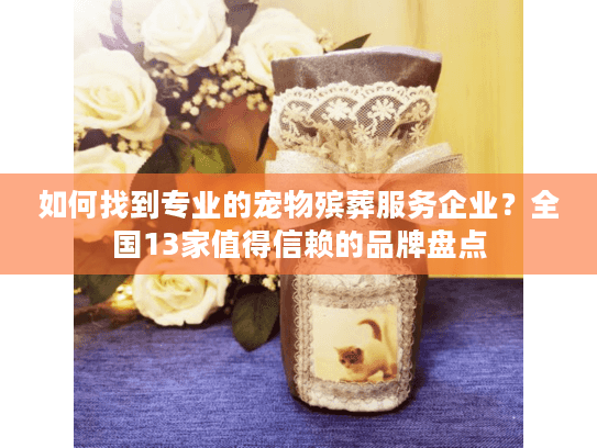 如何找到专业的宠物殡葬服务企业？全国13家值得信赖的品牌盘点