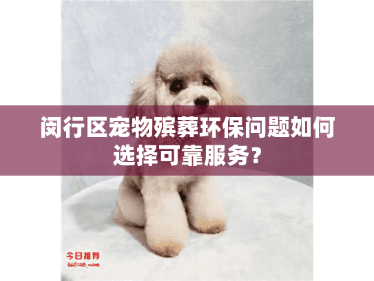 闵行区宠物殡葬环保问题如何选择可靠服务？