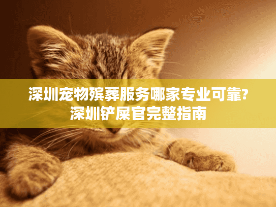 深圳宠物殡葬服务哪家专业可靠?深圳铲屎官完整指南