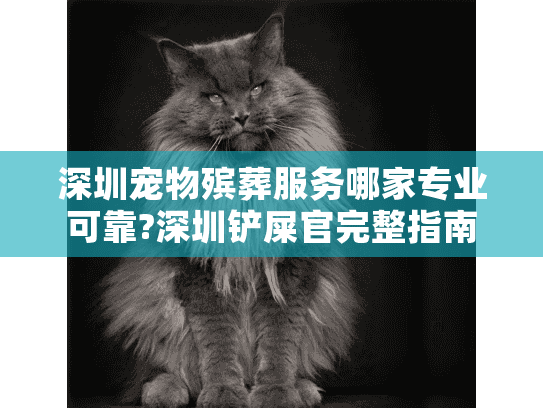 深圳宠物殡葬服务哪家专业可靠?深圳铲屎官完整指南