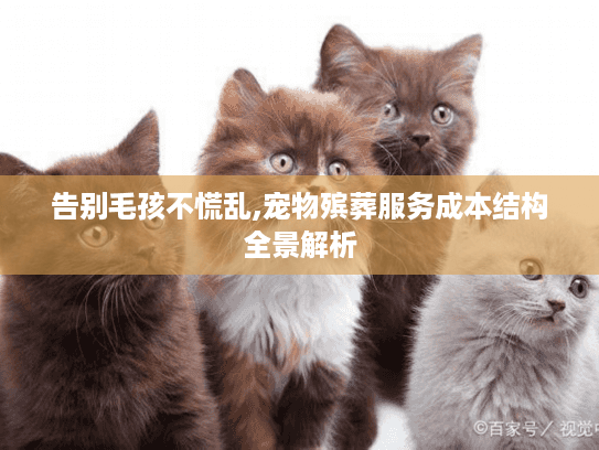 告别毛孩不慌乱,宠物殡葬服务成本结构全景解析
