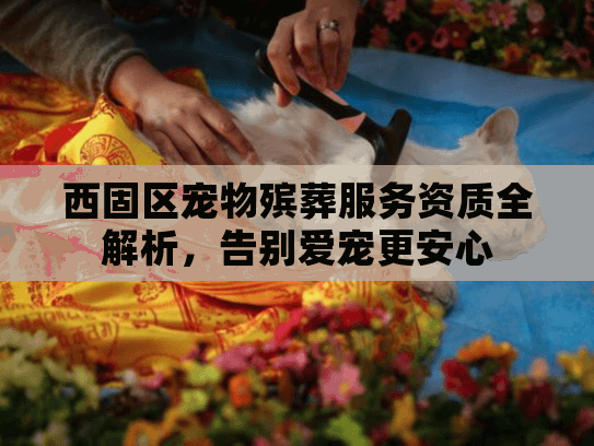 西固区宠物殡葬服务资质全解析，告别爱宠更安心