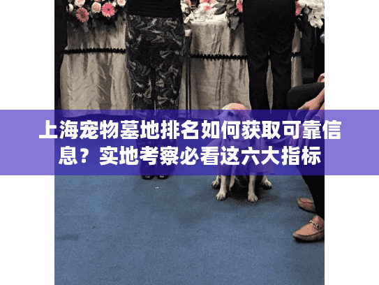 上海宠物墓地排名如何获取可靠信息？实地考察必看这六大指标