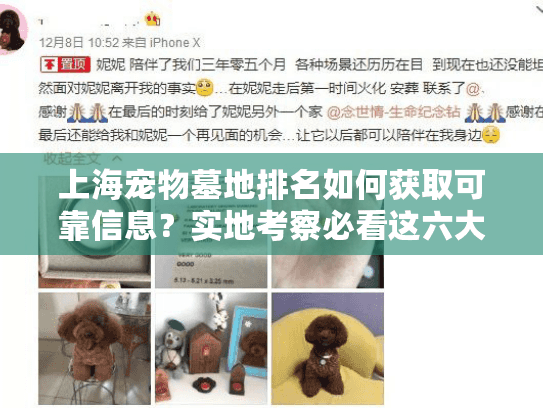 上海宠物墓地排名如何获取可靠信息？实地考察必看这六大指标