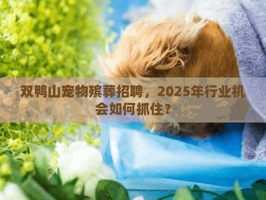 双鸭山宠物殡葬招聘，2025年行业机会如何抓住？
