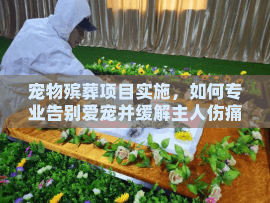 宠物殡葬项目实施，如何专业告别爱宠并缓解主人伤痛？